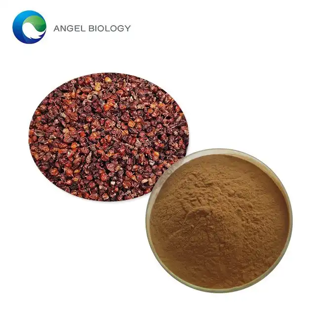 Seabuckthorn Extract Powder